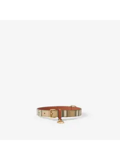 Medium Check Dog Collar