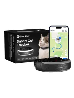 CAT 6 Mini GPS Tracker