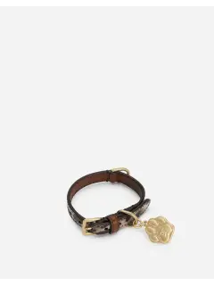 Dog Collar in Leopard Print