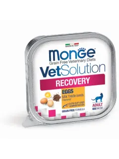 Recovery Feline 100 g