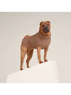 Dog Pullover