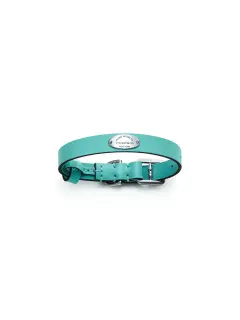 Pet Collar in Tiffany Blue Leather, Small