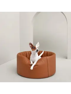 Patapouf Dog Bed, Medium Model