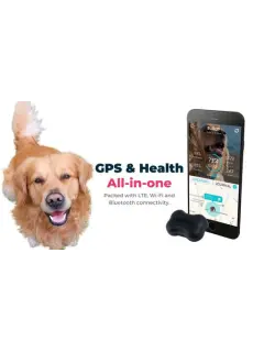 GPS Pet Tracker & Activity Monitor
