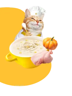 CREAMY BROTHS with Chicken & Pumpkin