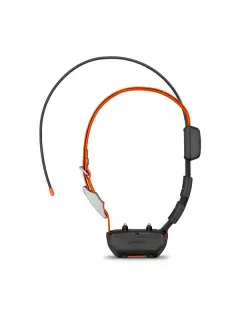 Alpha TT 25 Dog Collar