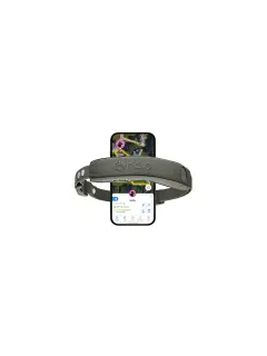 Collar 5 GPS Dog Fence