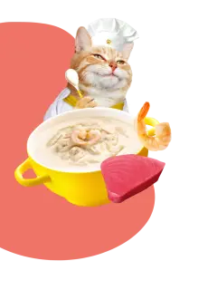 CREAMY BROTHS with Tuna & Shrimp