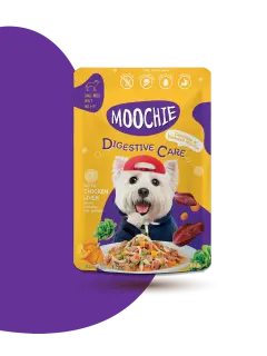 DIGESTIVE CARE (POUCH)