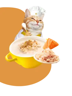 CREAMY BROTHS with Salmon & Katsuobushi