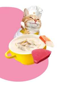 CREAMY BROTHS