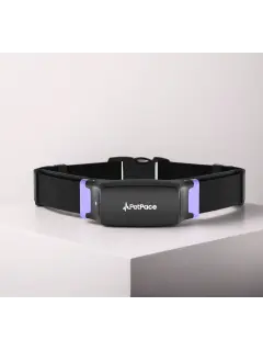3.0 Smart Health Collar