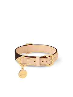Dog Collar PM